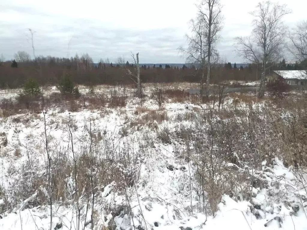 Участок в Вологодская область, Великоустюгский муниципальный округ, д. ... - Фото 1