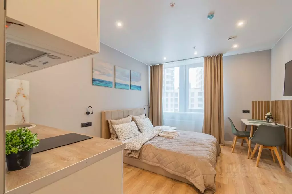 Студия Санкт-Петербург просп. Энергетиков, 2к1 (25.0 м) - Фото 2