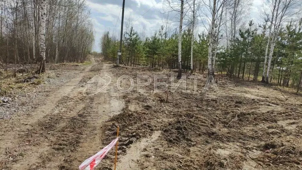 Участок в Тюменская область, Нижнетавдинский муниципальный округ, ... - Фото 0
