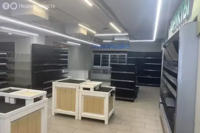 Помещение свободного назначения (360 м) - Фото 0