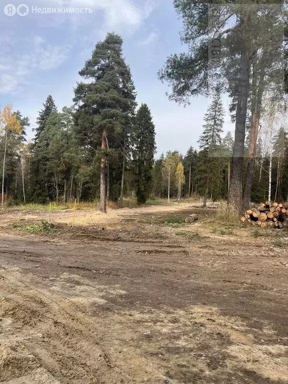 Участок в Куликовское сельское поселение, деревня Малинки (928 м) - Фото 1