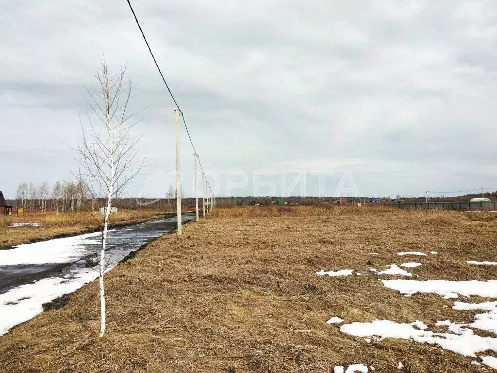 Участок в Тюменская область, Тюмень Зеленый Бор ДНТСН, ул. Удачная ... - Фото 0