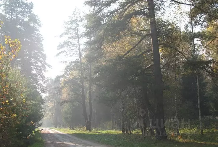 Участок в Тульская область, Заокский район, Страховское с/пос, д. ... - Фото 0