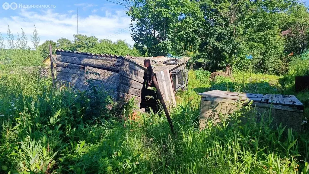 Дом в Артём, улица Невельского, 10 (58 м) - Фото 2