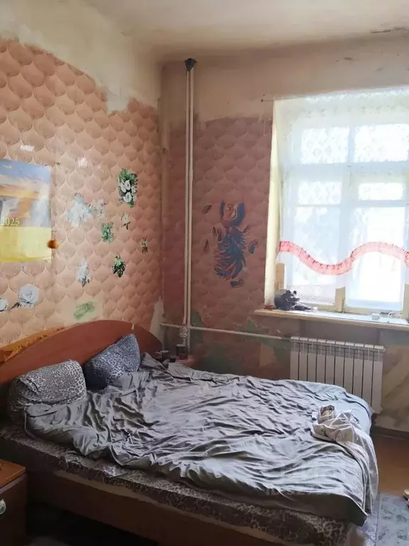 Комната Московская область, Ногинск Богородский городской округ, ул. ... - Фото 1