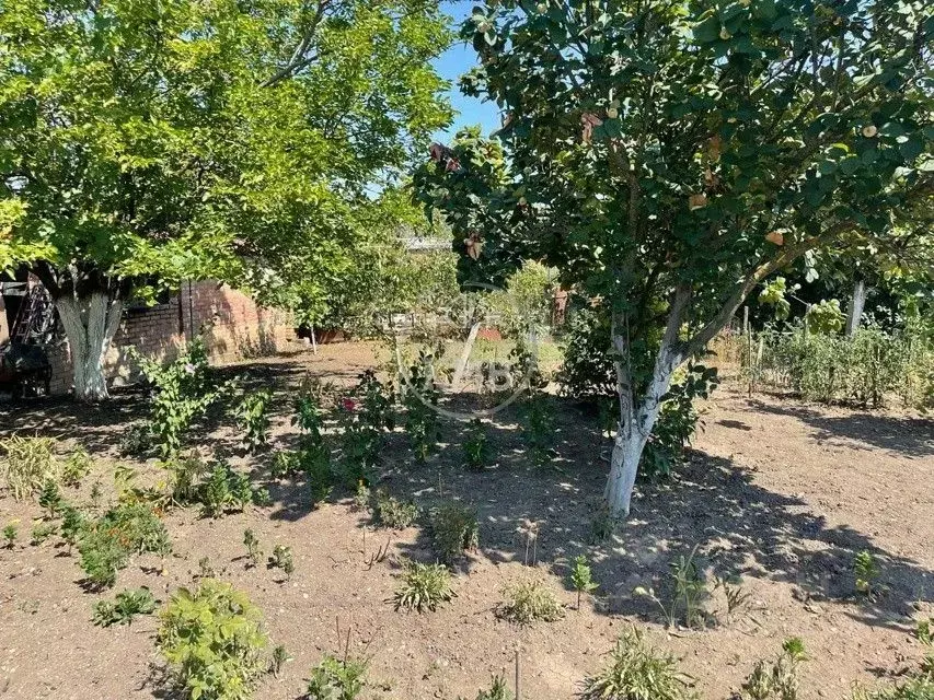 Участок в Ставропольский край, Минераловодский муниципальный округ, ... - Фото 2