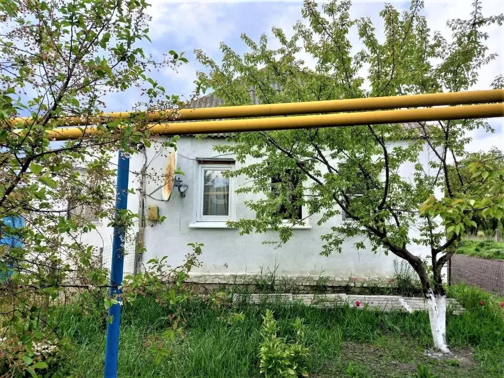 Дом в Белгородская область, Волоконовский район, ... - Фото 0