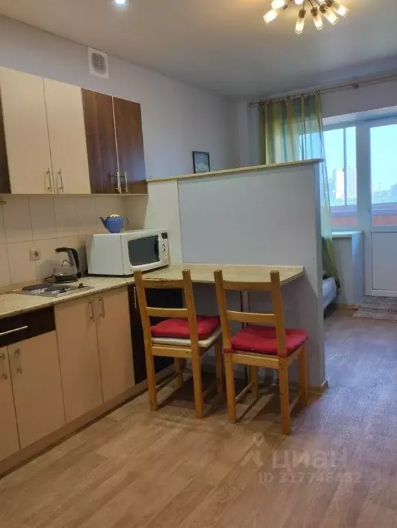 Студия Новосибирская область, Новосибирск ул. Котовского, 3/2 (24.1 м) - Фото 1
