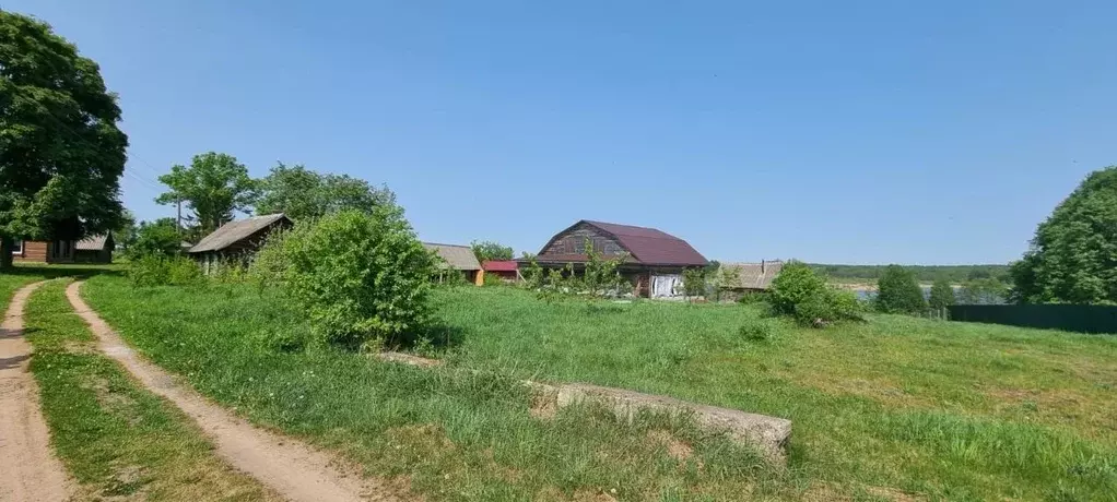 Участок в Псковская область, Невельский муниципальный округ, д. Горка  ... - Фото 2