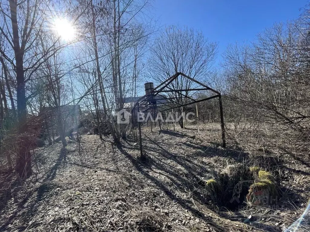 Участок в Московская область, Раменский муниципальный округ, с. Зюзино ... - Фото 1