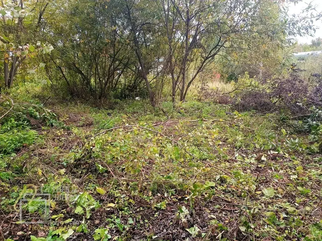 Участок в Новосибирская область, Новосибирск Ветеран квартал I-II СНТ, ... - Фото 1