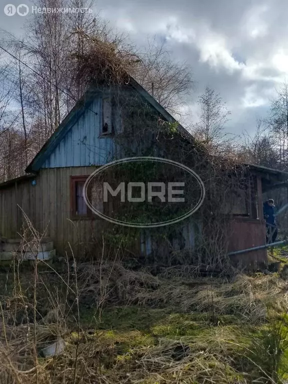 Участок в Калининград, СНТ Фрегат, Прегольский проезд (11 м) - Фото 0