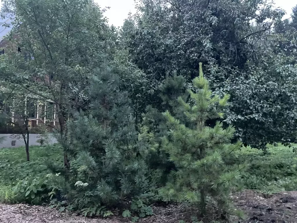 Дом в Московская область, Апрелевка Наро-Фоминский городской округ, ... - Фото 2