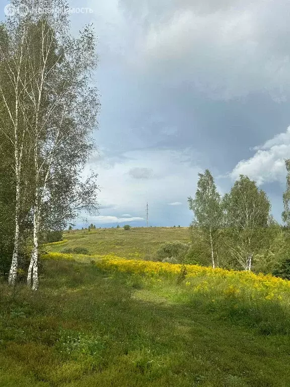 Участок в Тульская область, городской округ Тула, село Частое (12 м) - Фото 1