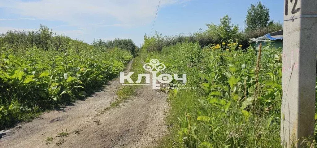 Участок в Башкортостан, Стерлитамакский район, Октябрьский сельсовет, ... - Фото 2
