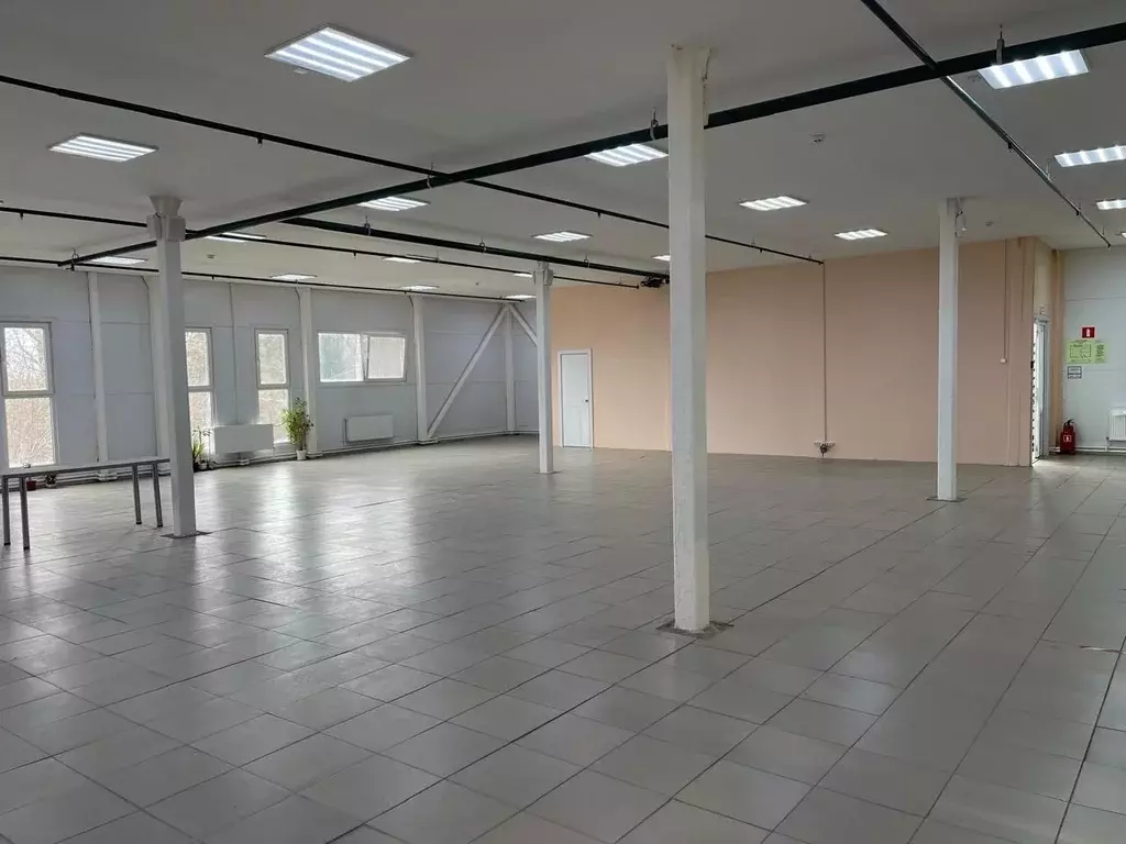 Торговая площадь в Московская область, Истра Московская ул., 56 (276 ... - Фото 1