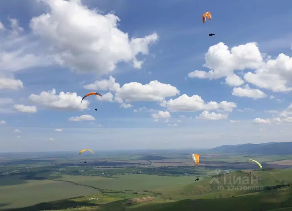 Участок в Алтайский край, Смоленский район, пос. Красный Городок  ... - Фото 2