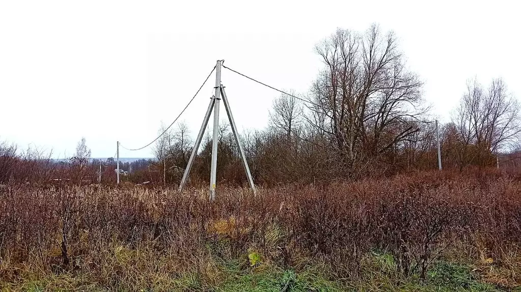 Участок в Калужская область, Жуковский муниципальный округ, Троицкое ... - Фото 2