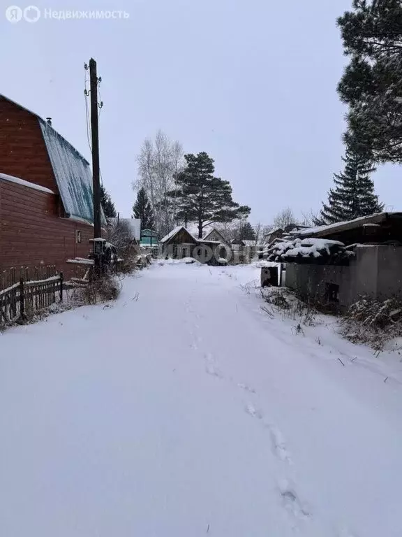 Участок в Новосибирский район, Кудряшовский сельсовет, СТ Иней-2 (7.25 ... - Фото 1