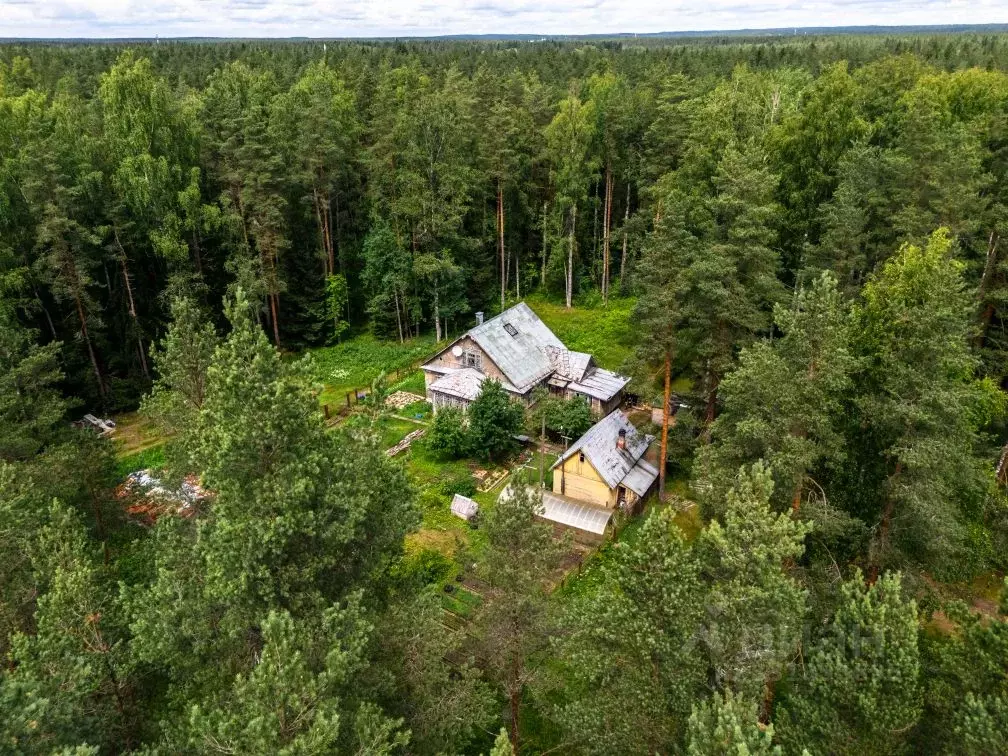 Дом в Санкт-Петербург пос. Репино, Большой просп., 41 (87 м) - Фото 1
