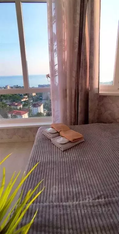 Студия Краснодарский край, Сочи Целинная ул., 13А (40.0 м) - Фото 2