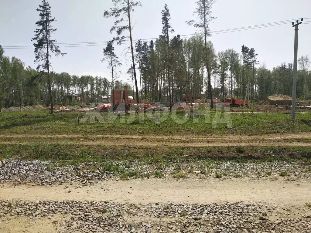 Участок в Новосибирская область, Новосибирский район, Барышевский ... - Фото 1