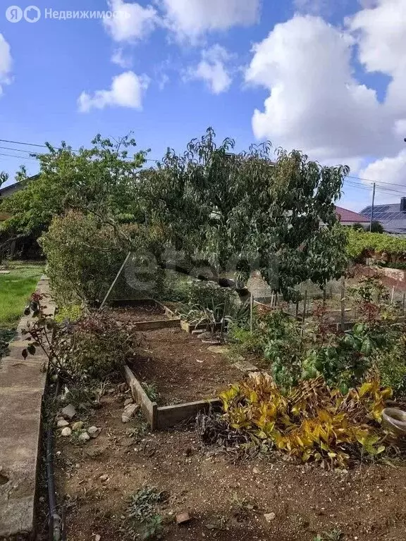 Участок в Севастополь, СТ Парус (4.1 м) - Фото 2