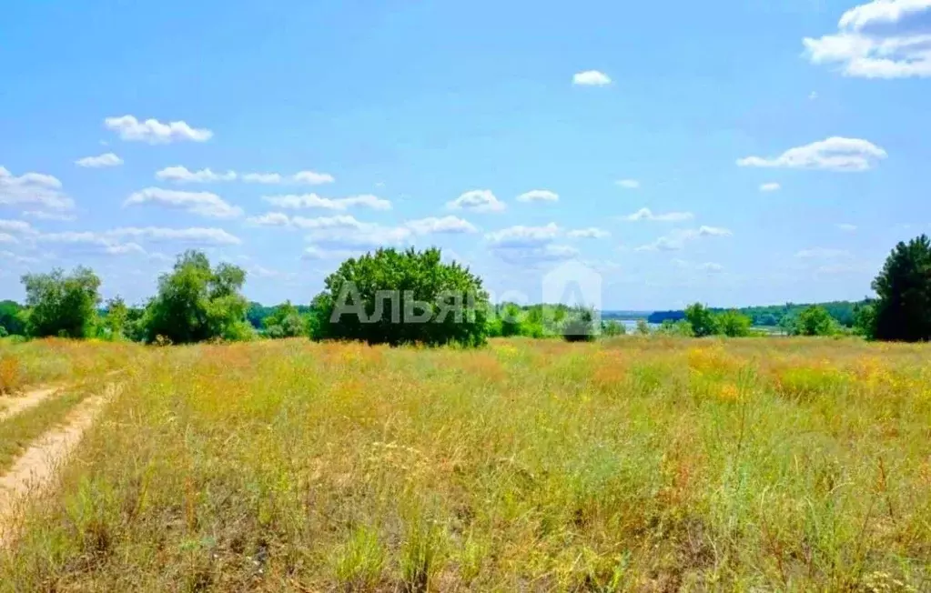 Участок в Ростовская область, Усть-Донецкий район, Нижнекундрюченское ... - Фото 2