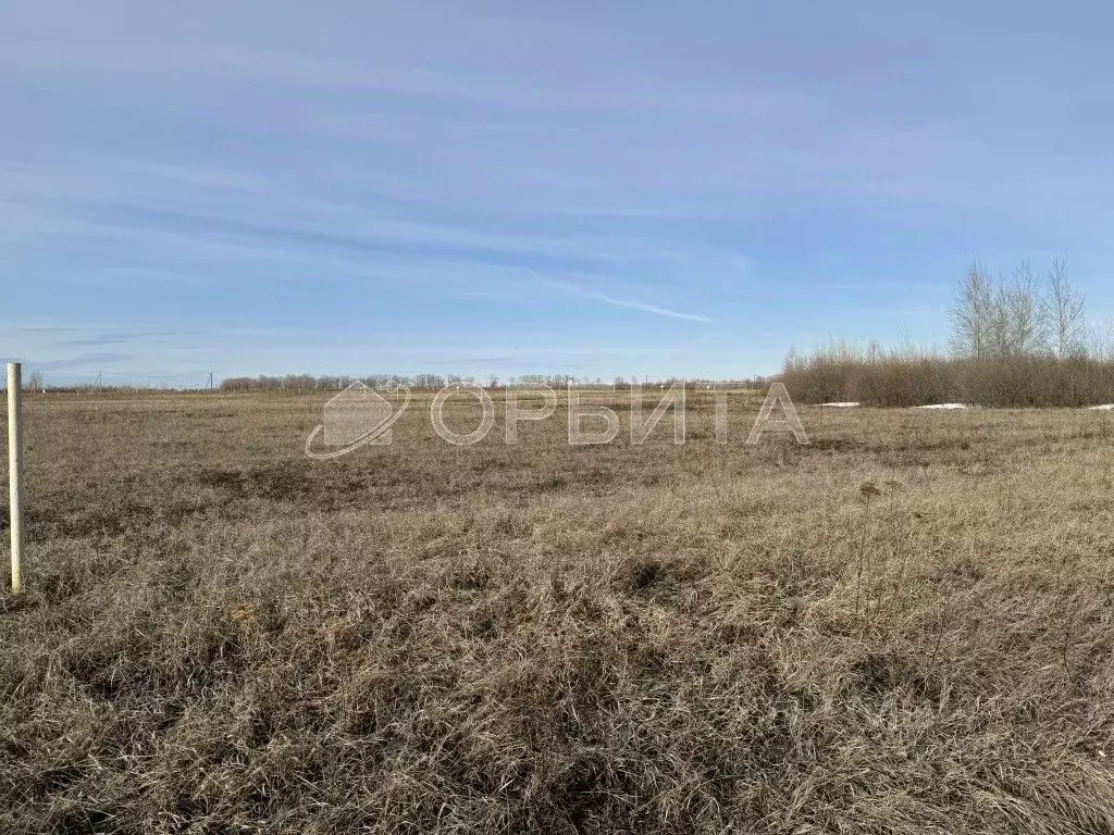 Участок в Тюменская область, Тюменский муниципальный округ, с. Чикча  ... - Фото 1