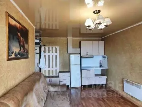 Студия Хабаровский край, Хабаровск Тихоокеанская ул., 197 (28.5 м) - Фото 2