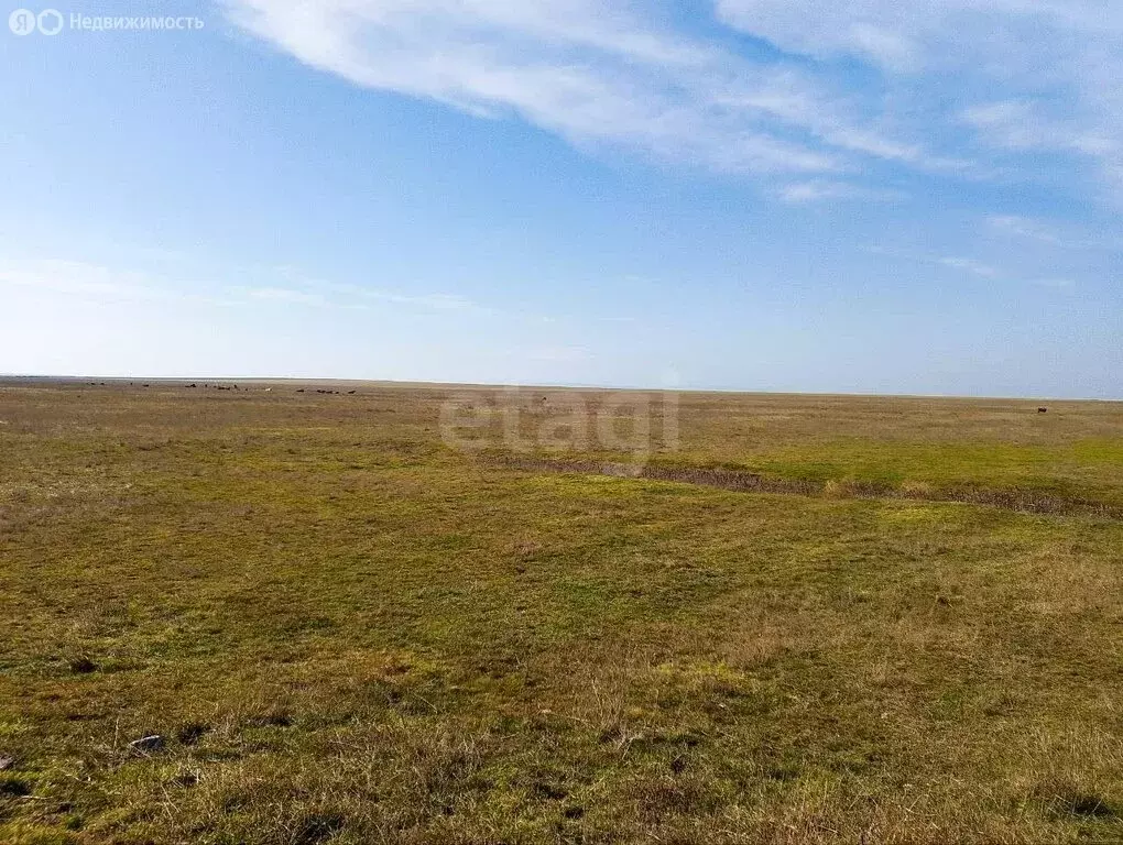 Участок в Калиновка, улица Шевченко, 12 (6.2 м) - Фото 2