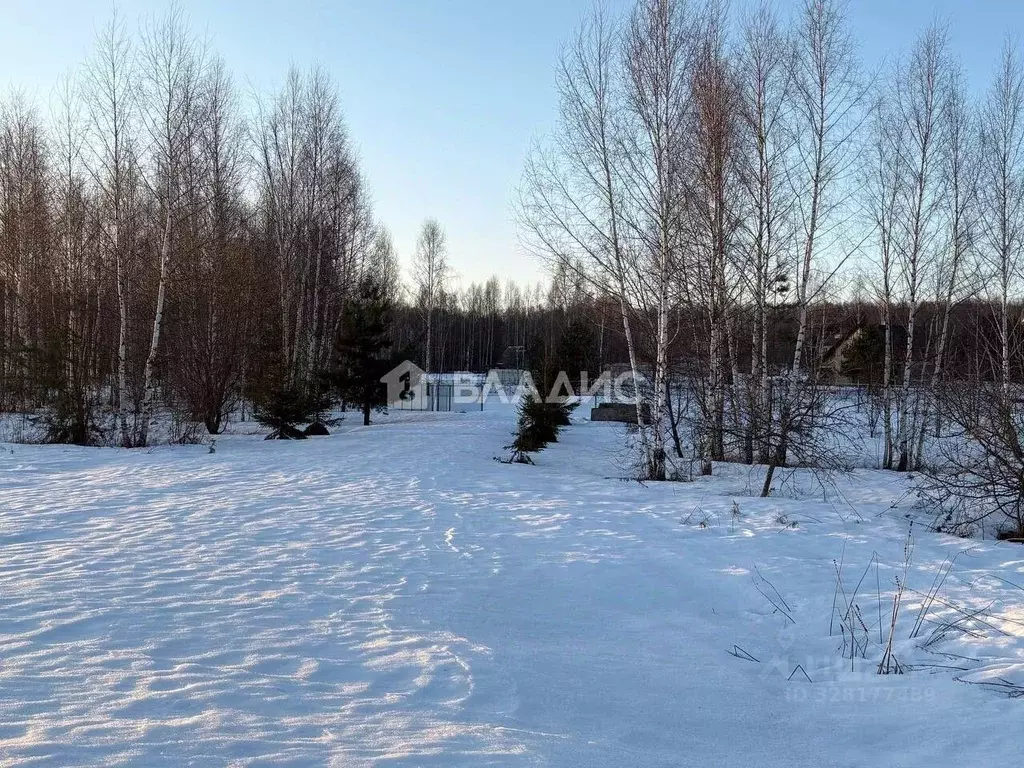 Участок в Нижегородская область, Чкаловск муниципальный округ, с. ... - Фото 1