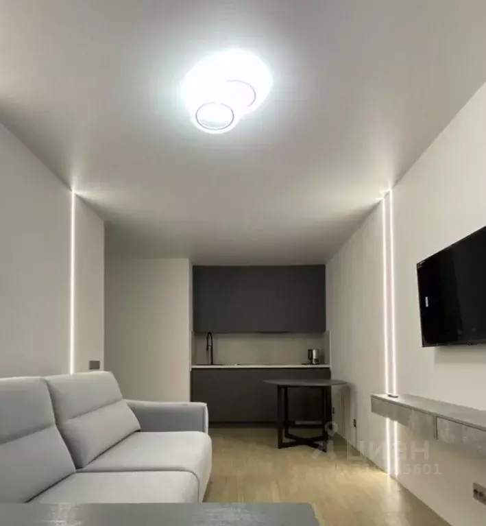 Студия Санкт-Петербург Заневский просп., 42 (23.0 м) - Фото 1