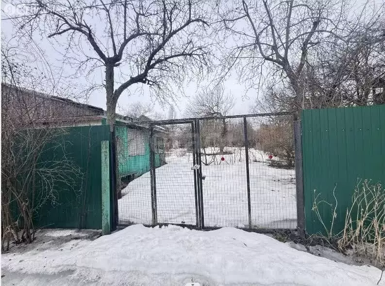 Дом в Воронеж, СНТ Дон, Педагогическая улица (35 м) - Фото 1