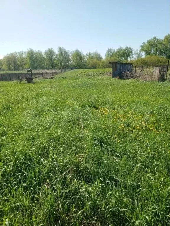 Участок 38,05 га (ИЖС) - Фото 1