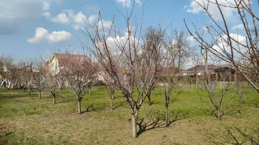 Участок 8,2 сот. (ИЖС) - Фото 1