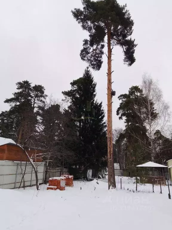 Участок в Московская область, Люберцы городской округ, Малаховка пгт ... - Фото 0