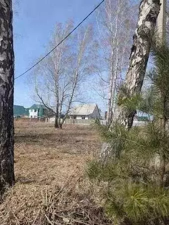 Участок в Алтайский край, Барнаул городской округ, с. Власиха пер. 1-й ... - Фото 2