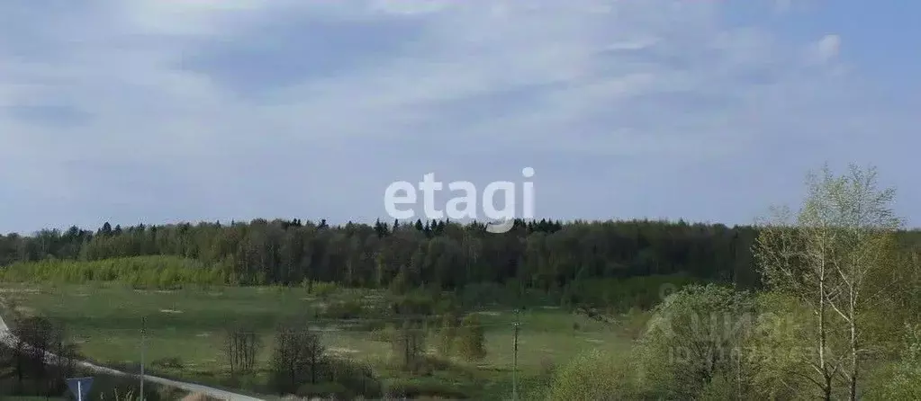 Участок в Владимирская область, Кольчугинский район, Раздольевское ... - Фото 2