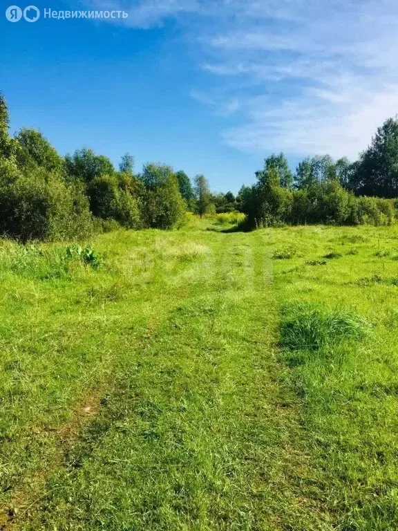 Участок в Тверская область, Кимрский муниципальный округ, деревня ... - Фото 2