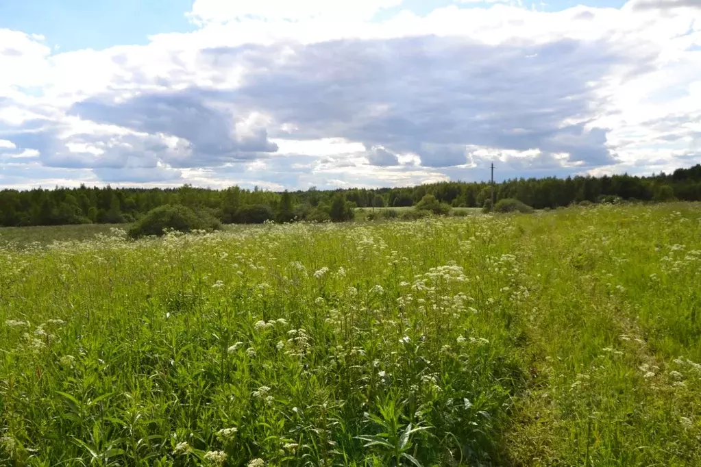 Участок в Тверская область, Осташковский городской округ, пос. ... - Фото 1