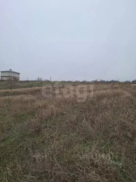 Участок в Ростовская область, Аксайский район, Большой Лог хут. ул. ... - Фото 1