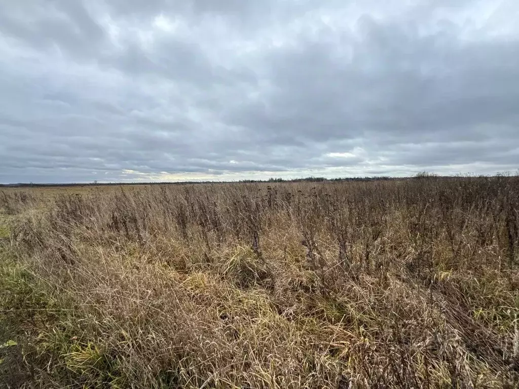 Участок в Ярославская область, Ярославский муниципальный округ, ... - Фото 2