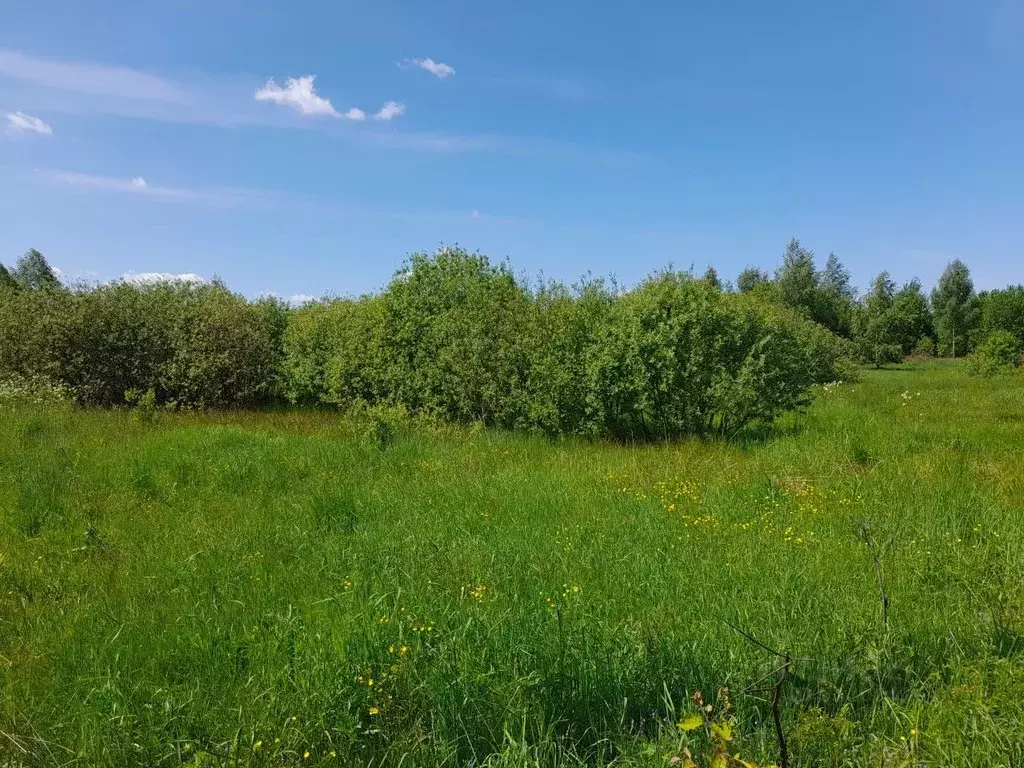 Участок в Владимирская область, Александровский район, Следневское ... - Фото 1