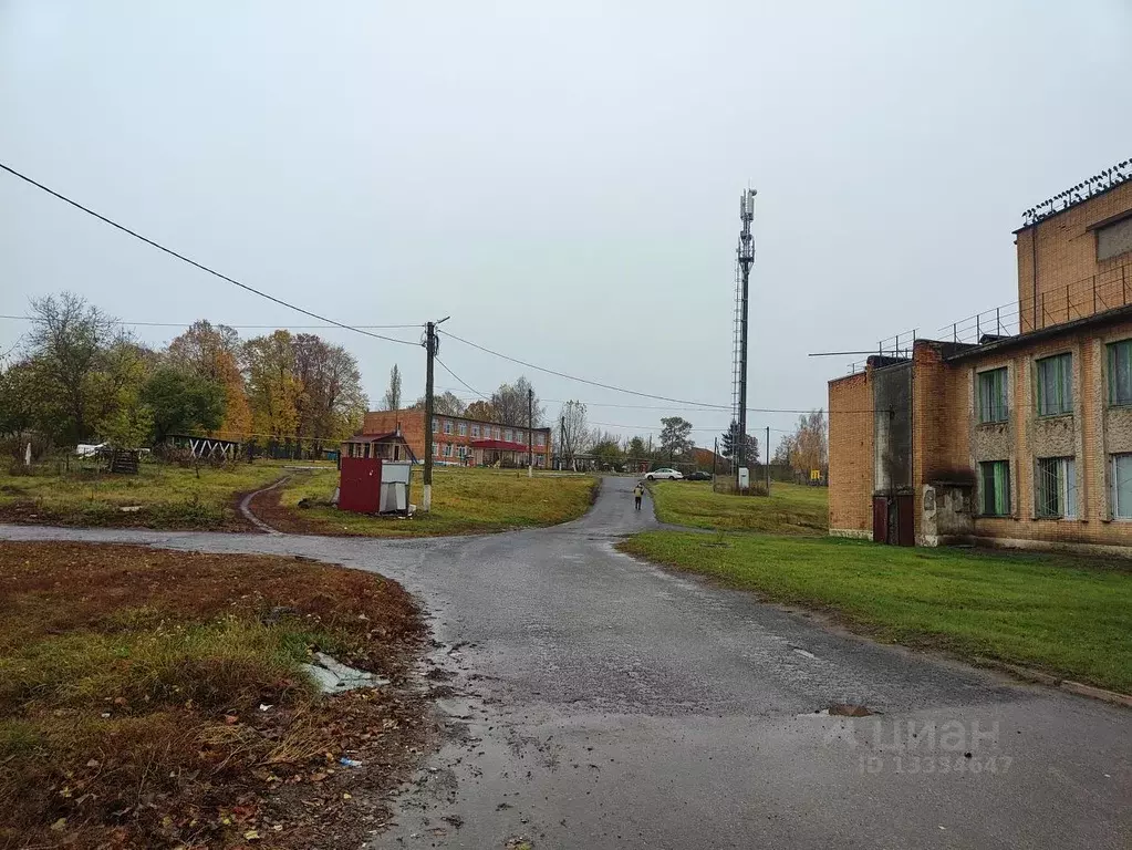 1-к кв. Курская область, Медвенский район, д. Амосовка 11 (38.9 м) - Фото 1