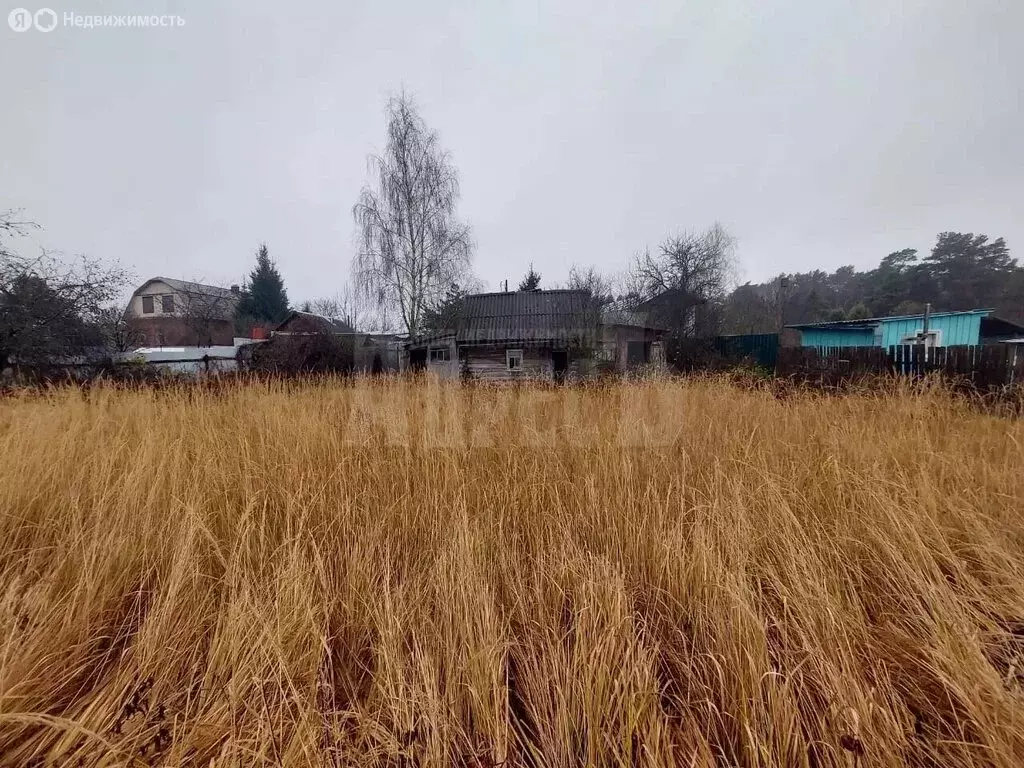 Участок в деревня Чёрная Грязь, Центральная улица, 3 (6 м) - Фото 1