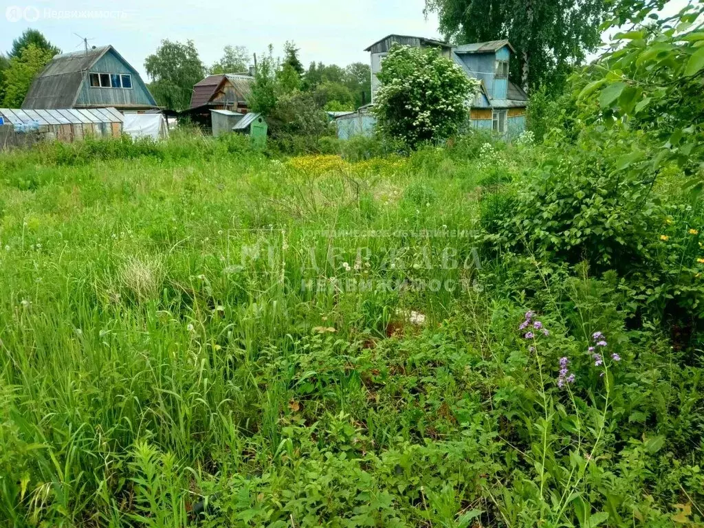 Участок в Кемеровский муниципальный округ, СДТ Берёзка (5 м) - Фото 1