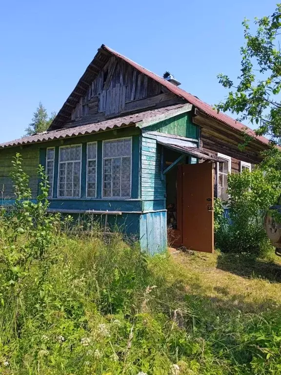 Дом в Псковская область, Плюсский муниципальный округ, д. Котоши  (47 ... - Фото 0