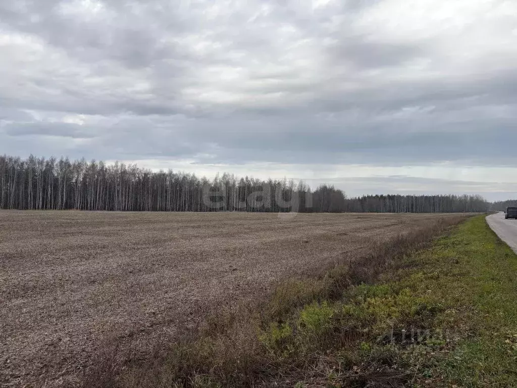 Участок в Тамбовская область, Знаменский муниципальный округ, ... - Фото 2