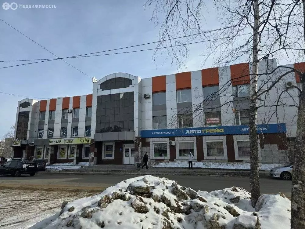 Помещение свободного назначения (320 м) - Фото 2